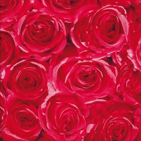 Rózsák öntapadós tapéta 45cmx15m