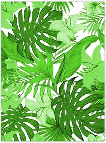 Poszterek 100x135 Leaves Monstera New look