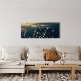 A füvek képe (120x50 cm)
