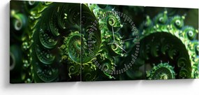 Kép - Spirálok (órával) (90x30 cm)