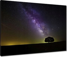 Vászonkép 80x60 Csillagos éj