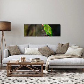 Papagáj egy ágon képe (órával) (90x30 cm)