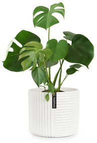 Fox & Fern Hasselt virágcserép polystonból, kézzel készített, 3D megjelenésű növények számára alkalmas.