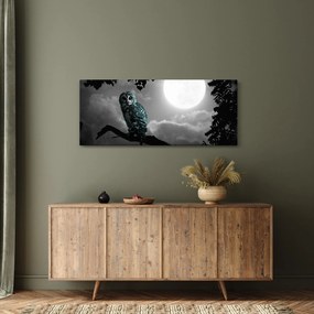 Kép - Éjjeli bagoly, kék (120x50 cm)