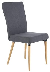 HAL-K273 modern favázas szék