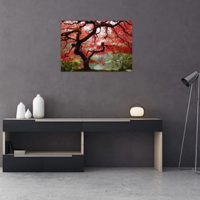 Red Japanese Maple, Portland, Oregon képe (üvegen) (70x50 cm)