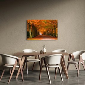 Kép - A Avenue of fák ősszel (90x60 cm)