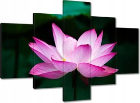 Vászonkép 100x70 Lótuszvirág