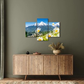 Kép - tavasz az Alpokban (90x60 cm)