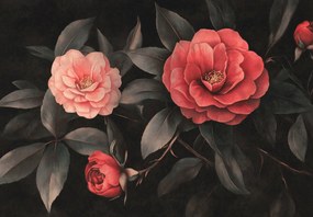 Fotótapéta - Piros virágok sötét háttéren (147x102 cm)