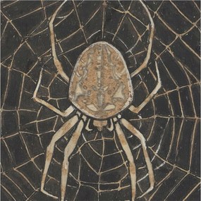 Fotótapéta Dekoratív Fali Tapéta Pókháló 250x250