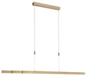 Paul Neuhaus 2568-60 - LED dimmelhető csillár zsinóron ADRIANA LED/14W/230V réz