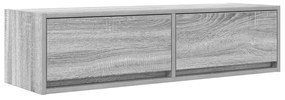 TV Szekrény Szürke Sonoma 100x31x25,5 cm Szerelt Fa