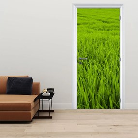 Fotótapéta ajtóra - Fű (95x205cm)