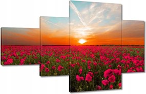 Vászonkép 130x80 Rózsaszín pipacsok Naplemente