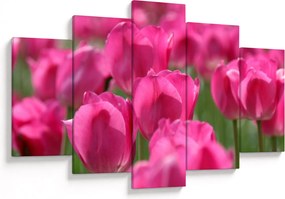 Kép - Rózsaszín tulipánok (150x105 cm)