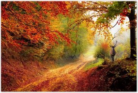 Poszterek 120x80 Szarvas az erdőben