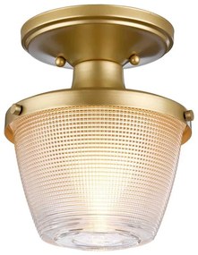 Quoizel QZ-DUBLIN-SF-PNBR - Fürdőszobai lámpa DUBLIN 1xE27/40W/230V IP44 arany