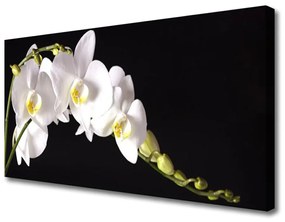 Vászonfotó virágok növények 140x70 cm
