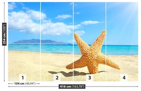 Fotótapéta tengeri csillag Beach 104x70 cm