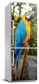 Hűtőre ragasztható matrica Ara papagáj FridgeStick-70x190-f-83558713