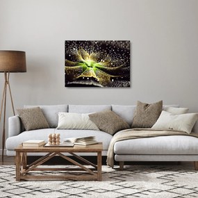 Kép - virág részlete (üvegen) (70x50 cm)