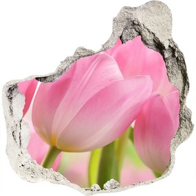 3d lyuk fal dekoráció Rózsaszín tulipánok nd-p-76775867