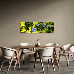 Kép - juhar levelek (órával) (90x30 cm)