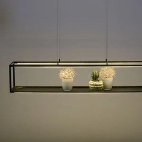 Paul Neuhaus 2441-18 - LED Dimmelhető csillár zsinóron CONTURA 4xLED/8W/230V