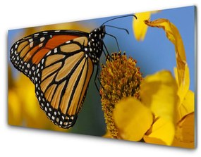 Üvegkép Butterfly Flower Természet 120x60cm 2 fogas