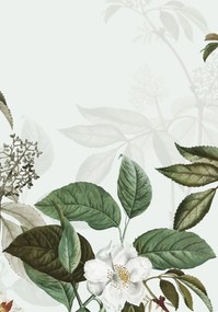 Fürdőszobaszőnyeg, 40×60 cm – CT-5321