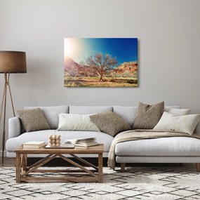 Fa a sivatagban képe (90x60 cm)