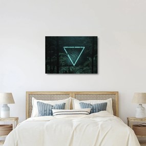 Kép - Neon háromszög a dzsungelben (üvegen) (70x50 cm)