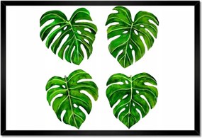 Poszter keretben 60x40 Lyukas monsera levelek