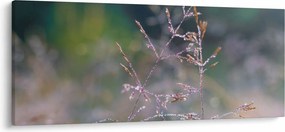 Kép - Fű részlet (120x50 cm)
