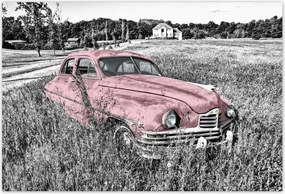 Poszterek 200x135 Rózsaszín nagymama Antik