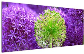 Virágos kép (120x50 cm)
