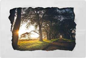 Poszterek 120x80 Tåjkép Låtvåny