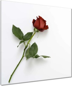 Vászonkép 50x50 Nőnap Ajándék Love