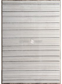 Pastuler 269 modern mintájú szőnyeg (Brown) 200x290 cm