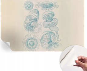 Öntapadós Dekoratív Fotótapéta Hálószobába Tengeri medúzák 416x254 cm