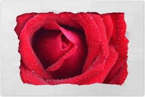 Poszterek 90x60 Nőnap Ajándék Love