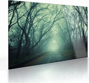 Kép - út a fasorban (üvegen) (70x50 cm)