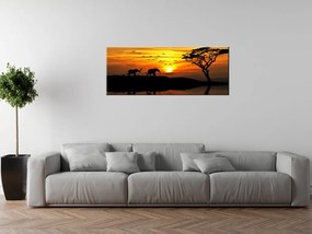 Gario Vászonkép Afrika Méret: 100 x 40 cm