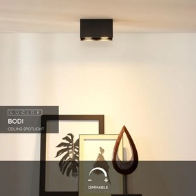 Lucide 09101/02/30 - Spotlámpa BODI 2xGU10/50W/230V