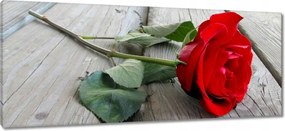 Vászonkép 100x40 Vörös rózsa a deszkákon