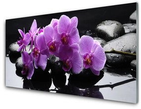 Üvegkép falra Stones virág növény 120x60cm