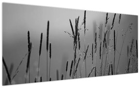 Kép - Fűszálak (120x50 cm)