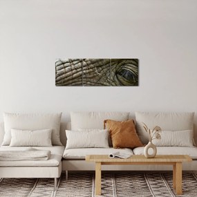 Kép - Közelkép az öreg elefánt szeméről (órával) (90x30 cm)