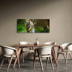 Futó tigris képe (120x50 cm)